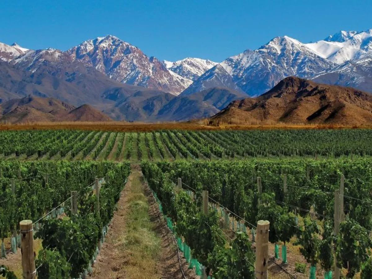 Entre viñedos, caminatas y paseos naturales por Mendoza