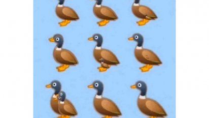 #DuckChallenge, el reto viral del momento: ¿cuántos patos ves en la foto?