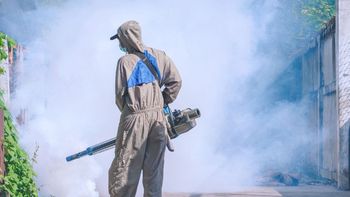 Dengue en Santa Fe: detectaron al mosquito transmisor en ocho barrios y refuerzan las tareas de prevención.