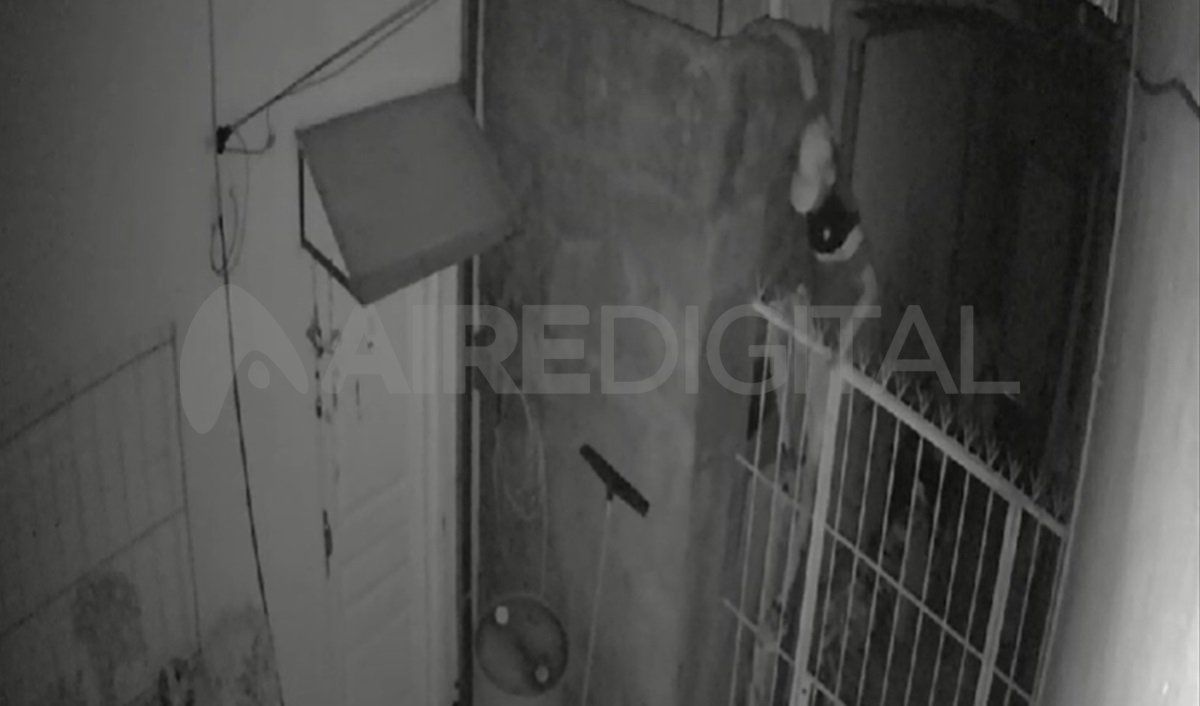 El momento en que el delincuente descendía al domicilio.&nbsp;