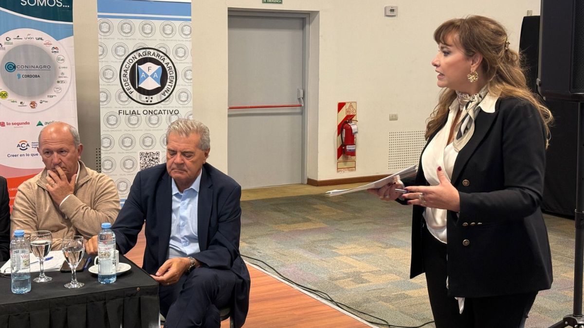 Los productores de Córdoba enfrentan márgenes negativos en la campaña triguera, en un contexto marcado por las retenciones al trigo. Los productores de Córdoba enfrentan márgenes negativos en la campaña triguera, en un contexto marcado por las retenciones al trigo.