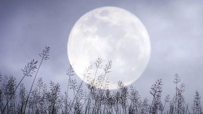 Luna de Nieve 2026: a qué hora ver la Luna llena hoy en Argentina