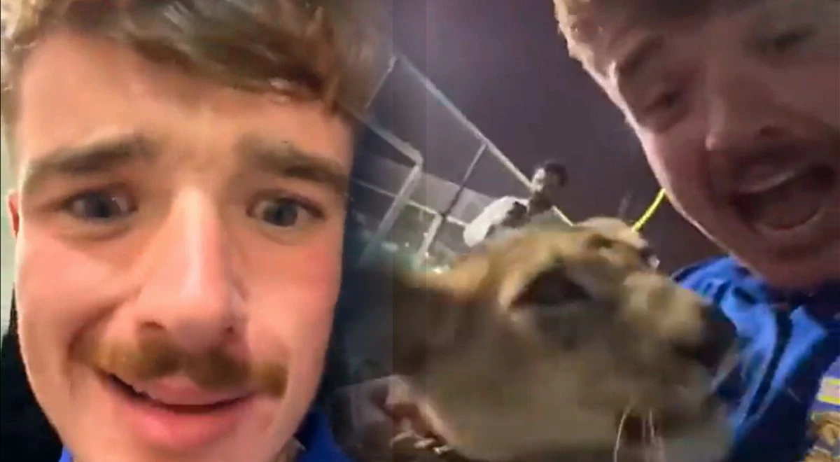 Fueron a buscar cerveza en Qatar y terminaron en el palacio de un jeque jugando con leones