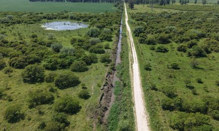 La intervención que desarrolla la Provincia en los canales Colectores 3 y 4 incluye tareas de desmalezamiento y remoción de sedimentos a lo largo de 16 kilómetros en total. La intervención que desarrolla la Provincia en los canales Colectores 3 y 4 incluye tareas de desmalezamiento y remoción de sedimentos a lo largo de 16 kilómetros en total.