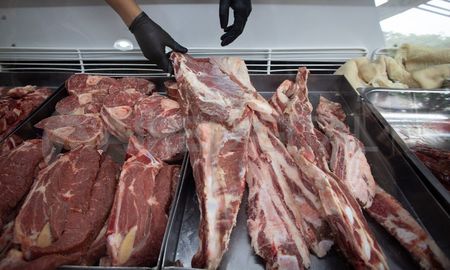 Los precios rebajados de carne no llegarán a los comercios de Santa Fe. Los precios rebajados de carne no llegarán a los comercios de Santa Fe.