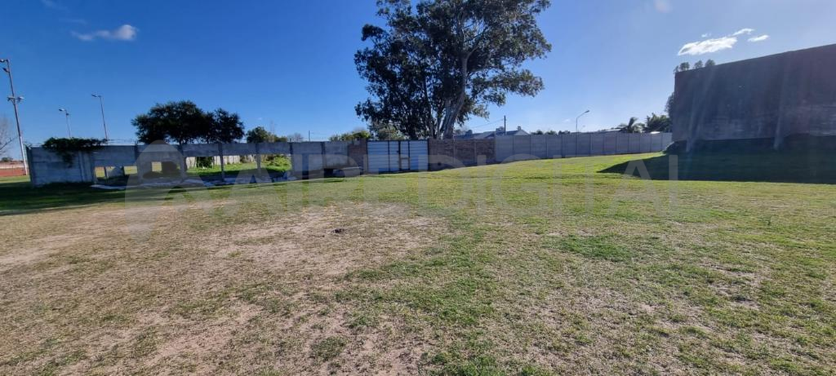 Desde la institución informaron que muchos jugadores sufrieron robos en el último tiempo y reclamaron mayor presencia policial en la zona.