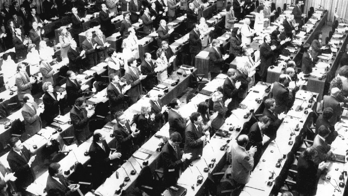 Los convencionales constituyentes que participaron de la Reforma del 94. Los convencionales constituyentes que participaron de la Reforma del 94.