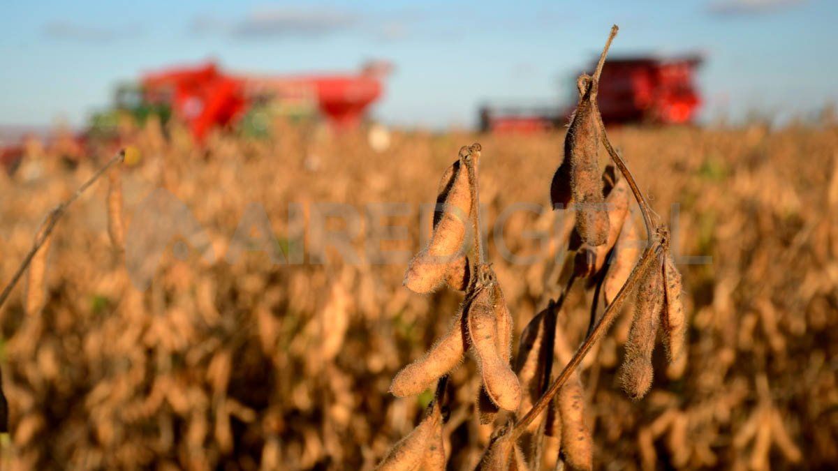 China acelera las compras de soja a la Argentina