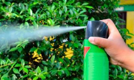 la anmat retiro del mercado unos reconocidos insecticidas contra los mosquitos la anmat retiro del mercado unos reconocidos insecticidas contra los mosquitos