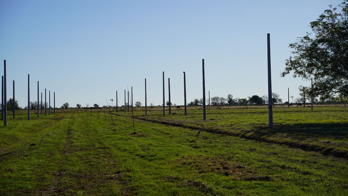 Quedan solo 15 lotes disponibles, lo que marca un momento clave para quienes buscan acceder a un terreno en una ubicación estratégica. Quedan solo 15 lotes disponibles, lo que marca un momento clave para quienes buscan acceder a un terreno en una ubicación estratégica. 
