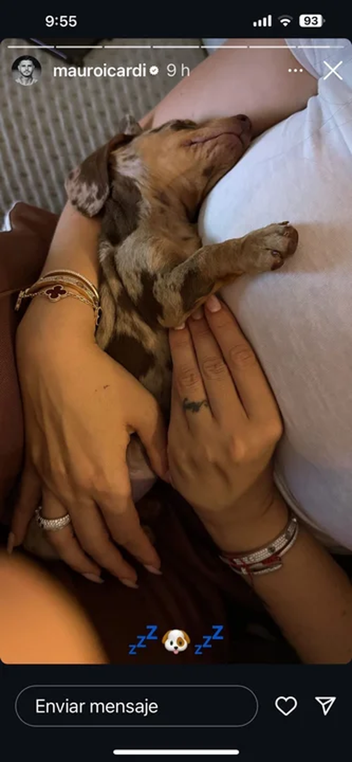 El perrito que Wanda Nara había llevado a lo de Susana Giménez. El perrito que Wanda Nara había llevado a lo de Susana Giménez.