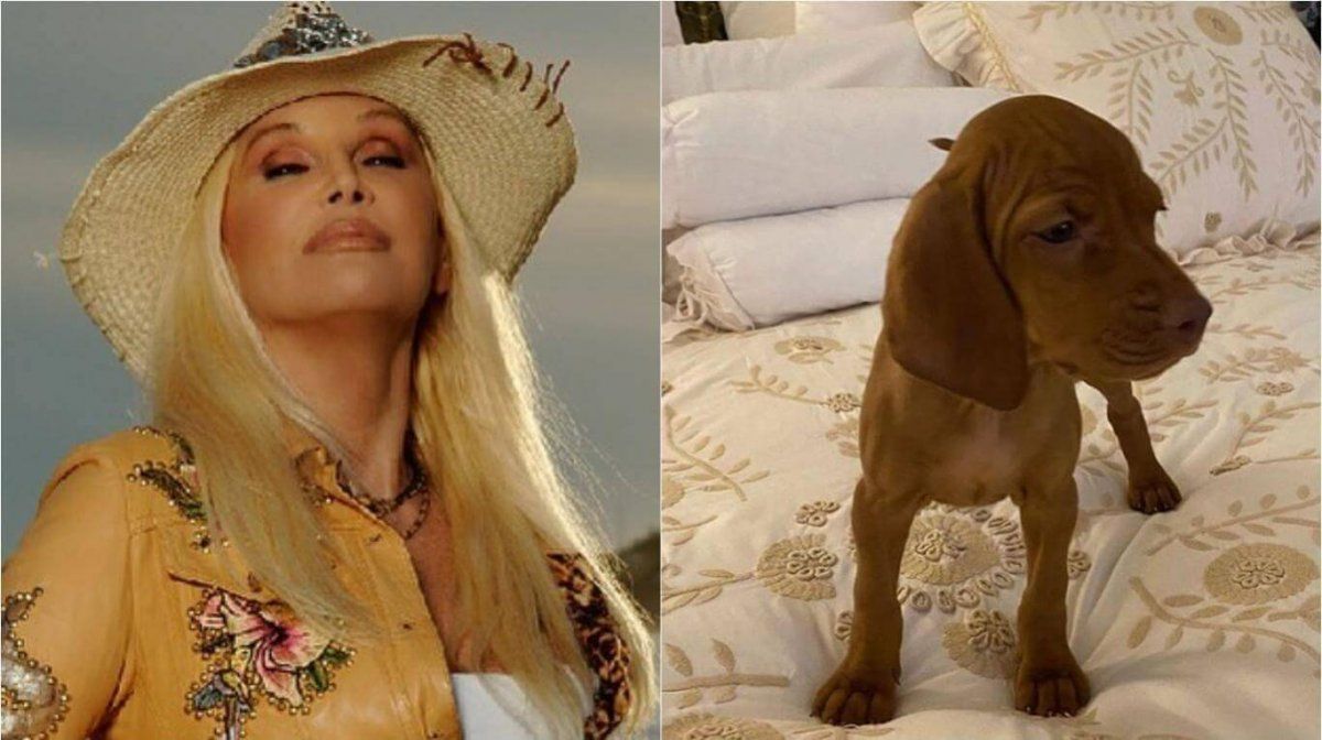 Divertido video de Susana Gim&eacute;nez con Rita: Se vuelve cada d&iacute;a m&aacute;s loca