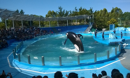7 parques temáticos para divertirse en verano en el Partido de la Costa 7 parques temáticos para divertirse en verano en el Partido de la Costa