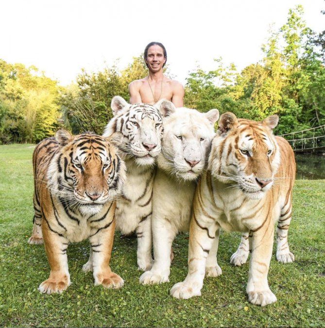 Kody Antle es un experto en manejo de animales.