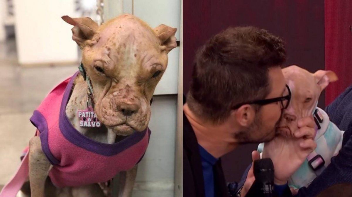 Marcelo Tinelli le dio una oportunidad a Bricia.