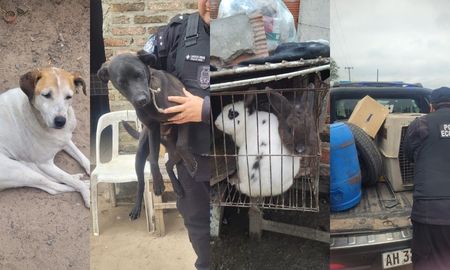 Un operativo policial realizado durante la mañana de este domingo en la localidad de San José del Rincón derivó en la demora de un hombre de 30 años por un presunto caso de maltrato animal.&nbsp;