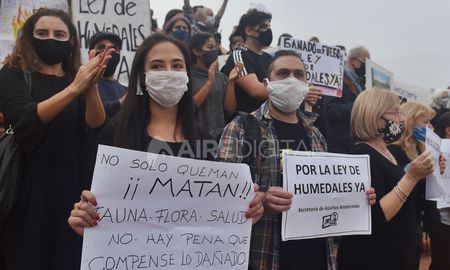 Los grupos ambientalistas han realizado manifestaciones en Rosario y Santa Fe (foto de archivo). Los grupos ambientalistas han realizado manifestaciones en Rosario y Santa Fe (foto de archivo).