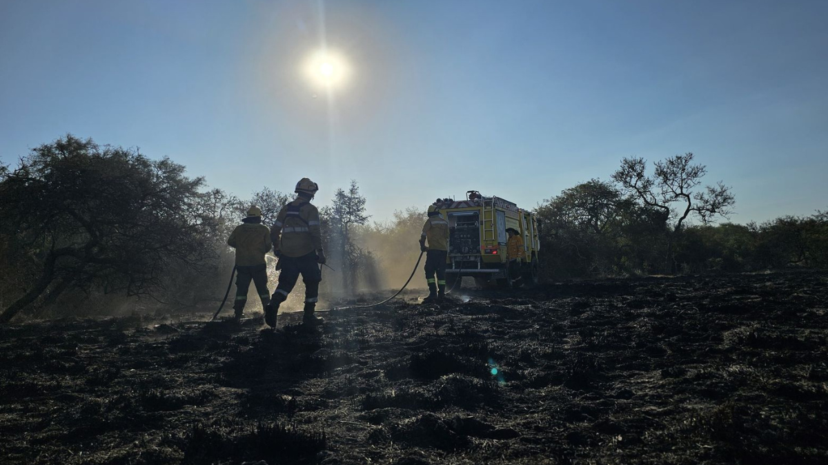 La Secretaría de Protección Civil organiza las tareas en siete zonas de trabajo para contener el incendio. La Secretaría de Protección Civil organiza las tareas en siete zonas de trabajo para contener el incendio.