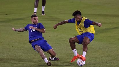 Qué es el virus del Camello, la enfermedad que tiene en jaque a Francia, a días de la final de Qatar 2022 ante Argentina