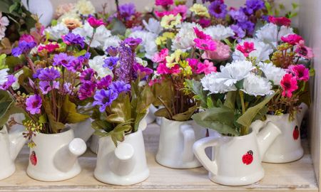 Estas plantas cambian el tono de sus hojas cuando bajan las temperaturas. Estas plantas cambian el tono de sus hojas cuando bajan las temperaturas.
