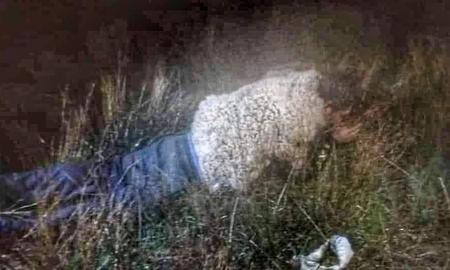 Bolivia: un preso intentó escapar de una cárcel de máxima seguridad disfrazado de oveja Bolivia: un preso intentó escapar de una cárcel de máxima seguridad disfrazado de oveja