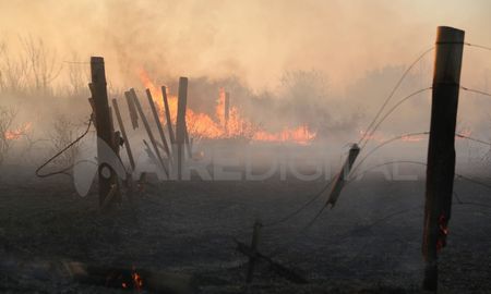 El ministro de Ambiente y Desarrollo Sostenible de la Nación, Juan Cabandié, sobrevoló este martes la zona afectada por los focos de incendio en el Delta del Paraná. El ministro de Ambiente y Desarrollo Sostenible de la Nación, Juan Cabandié, sobrevoló este martes la zona afectada por los focos de incendio en el Delta del Paraná.