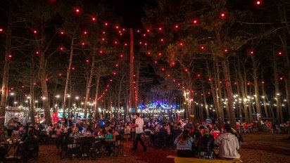 Pinamar: food trucks nocturnos en el bosque, una propuesta diferente