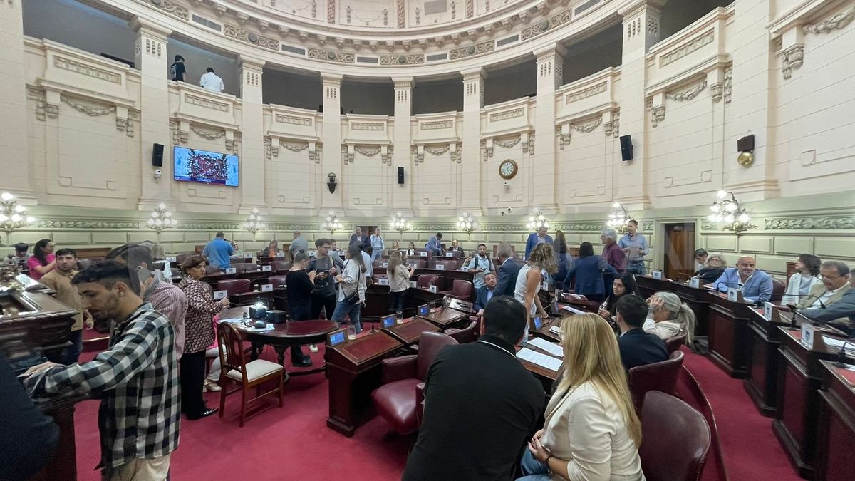 La Cámara de Diputados aprobó la adhesión de la provincia a la Ley Antimafia.