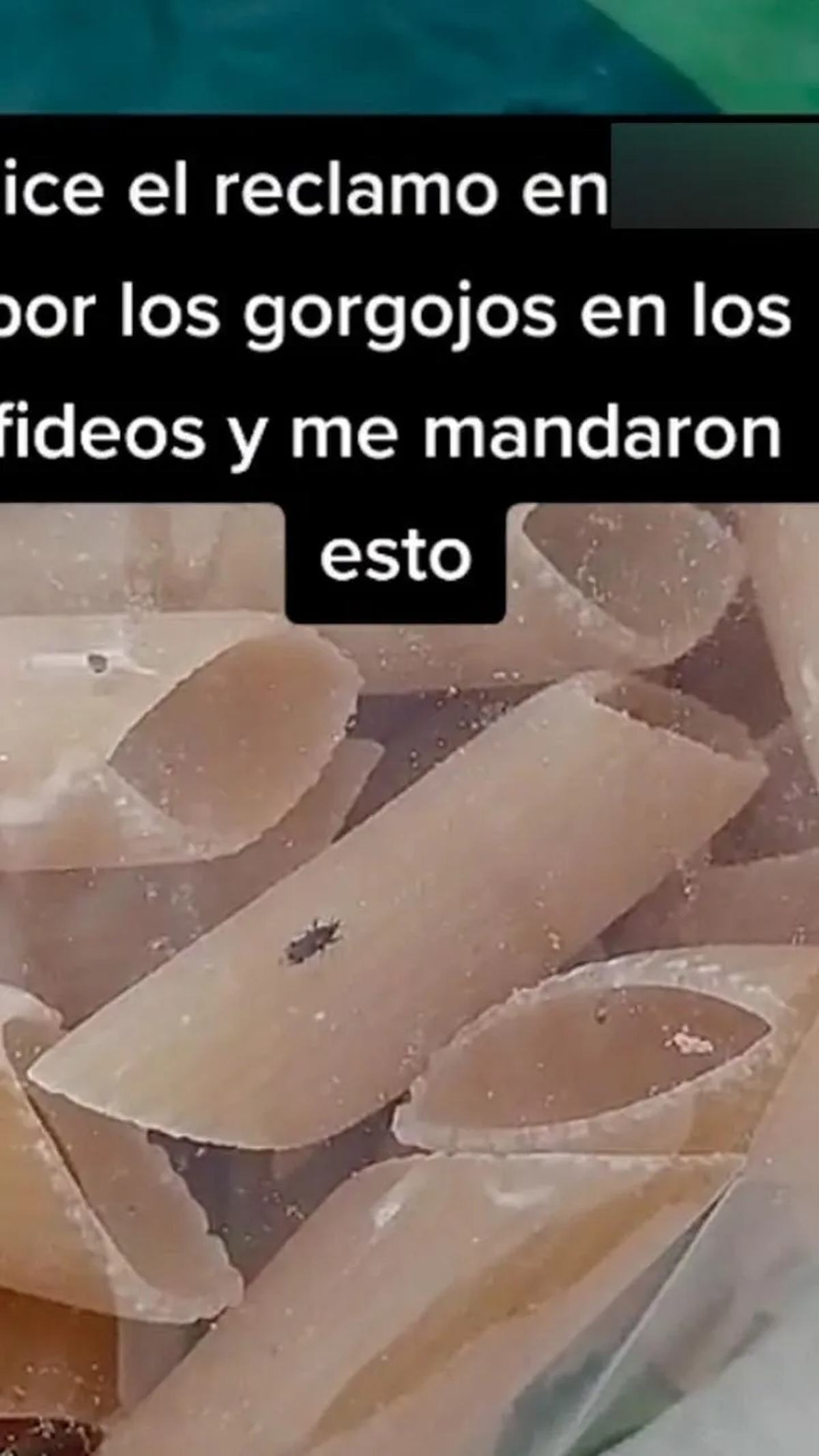 El video llegó a más de 13 mil "me gusta", tuvo cientos de comentarios y fue compartido cientos de veces.