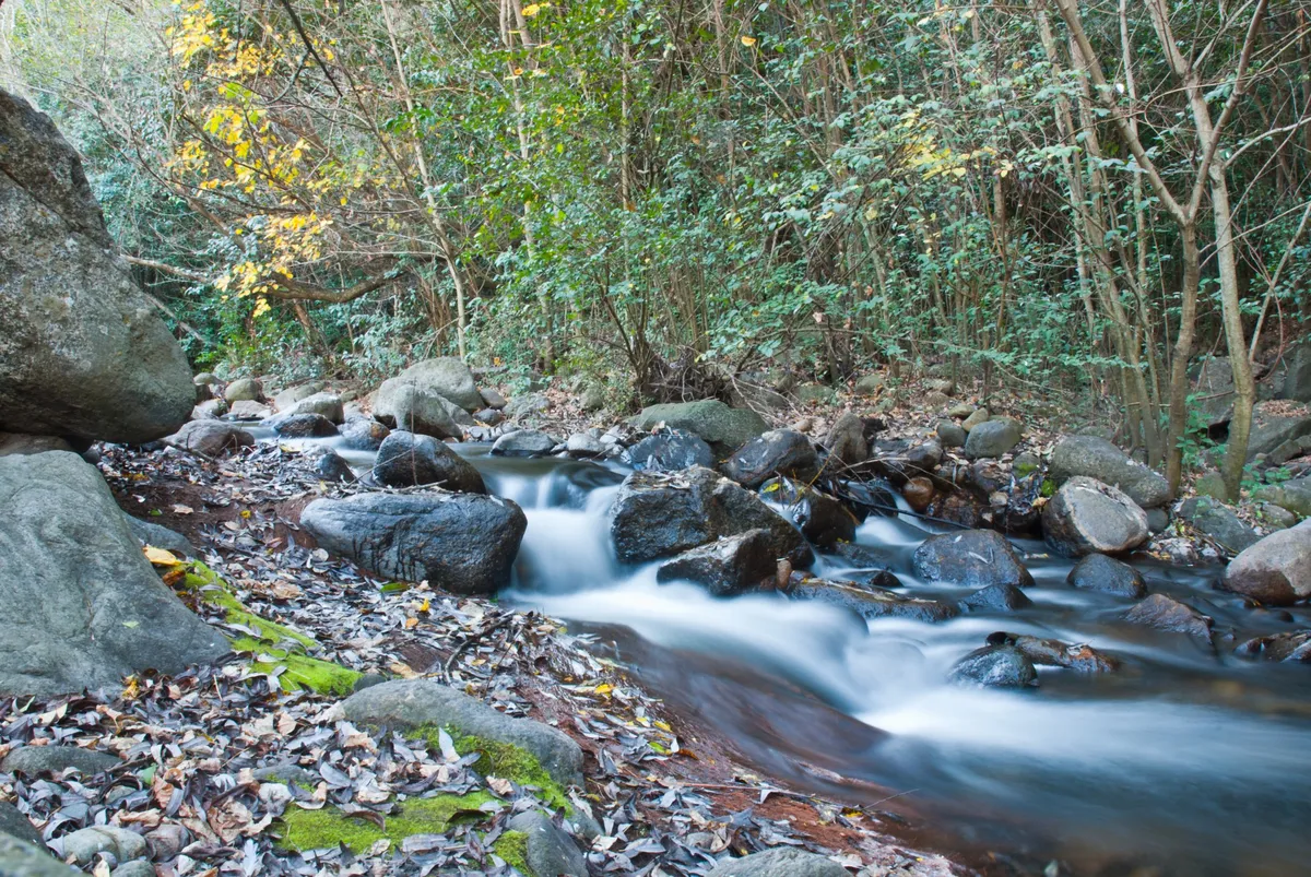La Granja es una pequeña localidad y que es perfecta para quienes son amantes de la naturaleza. La Granja es una pequeña localidad y que es perfecta para quienes son amantes de la naturaleza.
