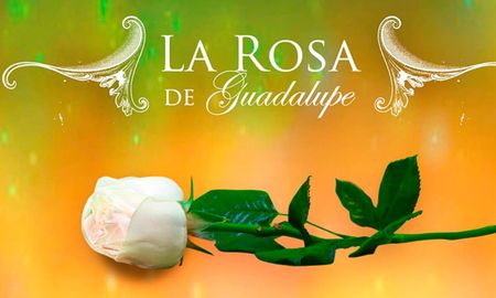 Fue una figura destacada de la televisión mexicana y dejó un legado imborrable. Fue una figura destacada de la televisión mexicana y dejó un legado imborrable.