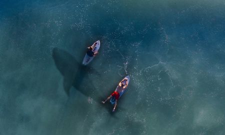 video: un tiburon ataco a un surfista en australia video: un tiburon ataco a un surfista en australia