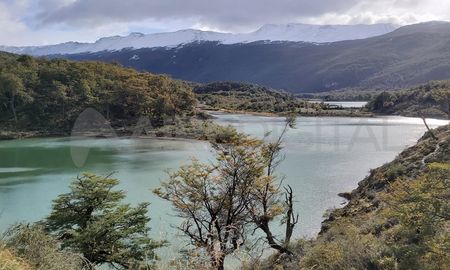 Parque Nacional Tierra del Fuego, Ushuaia. Parque Nacional Tierra del Fuego, Ushuaia.