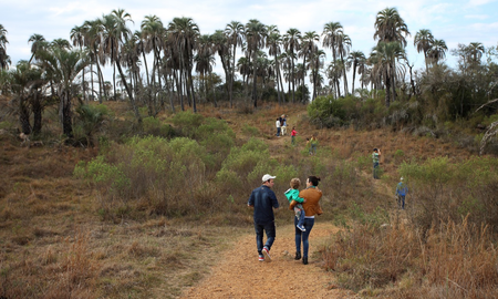 El Parque Nacional El Palmar se encuentra a solo unas horas de la ciudad de Santa Fe. El Parque Nacional El Palmar se encuentra a solo unas horas de la ciudad de Santa Fe.