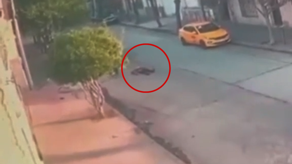 La mujer se bajaba de su auto Fiat Mobi de color rojo y fue atacada por una banda de ladrones.