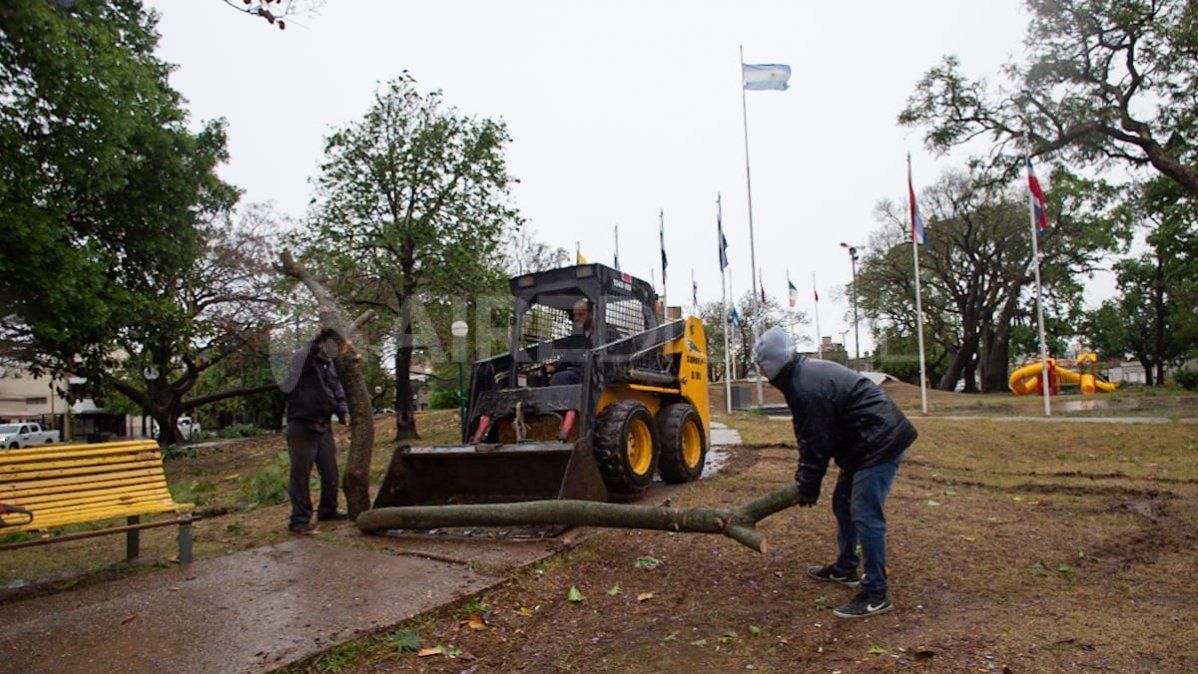 Tras la tormenta, en la Plaza de las Banderas cayeron ramas pero no árboles enteros.