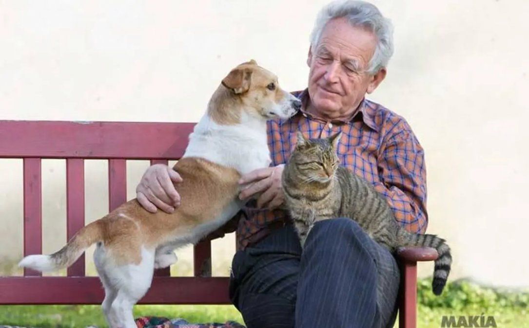 Las mascotas pueden ser muy importantes para la compañía de nuestros abuelos. 