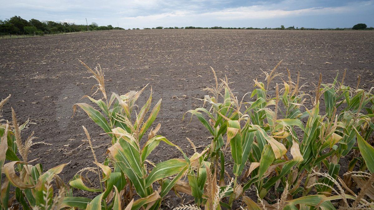 Los cálculos indican que