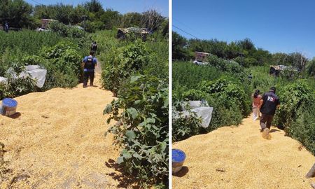 Cientos de kilos de maíz quedaron sobre las vías del ferrocarril en Santa Rosa de Lima Cientos de kilos de maíz quedaron sobre las vías del ferrocarril en Santa Rosa de Lima