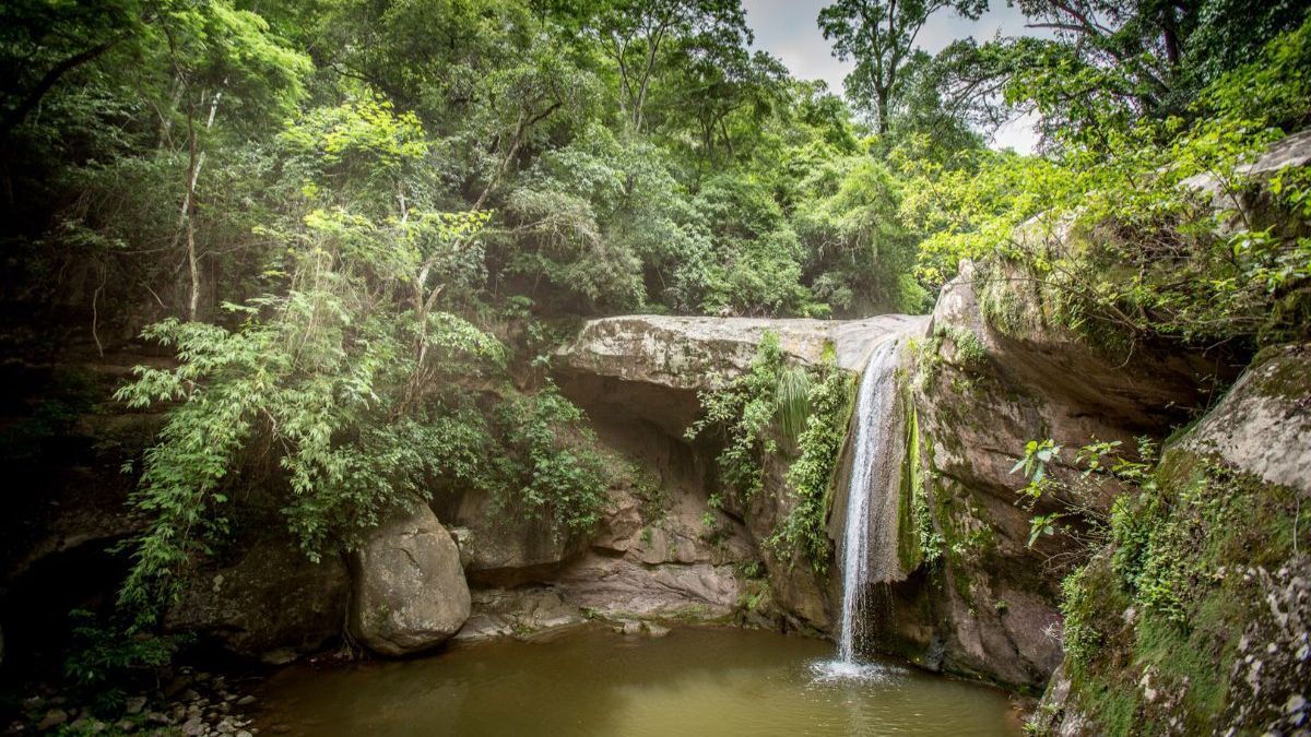 Las caminatas por las yungas permiten observar aves, fauna autóctona y paisajes que sorprenden a cada paso.