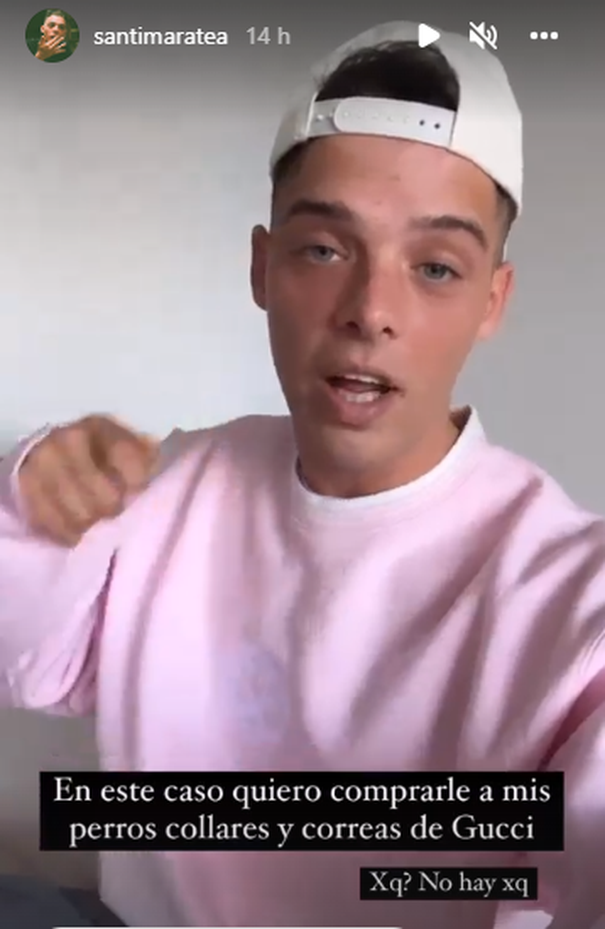 Santi Maratea quiere comprarle collares Gucci a sus perros.