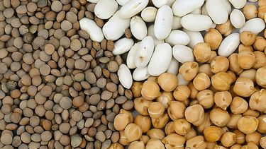 La calidad ya no alcanza para diferenciarse: ahora define si las legumbres argentinas siguen en los mercados La calidad ya no alcanza para diferenciarse: ahora define si las legumbres argentinas siguen en los mercados