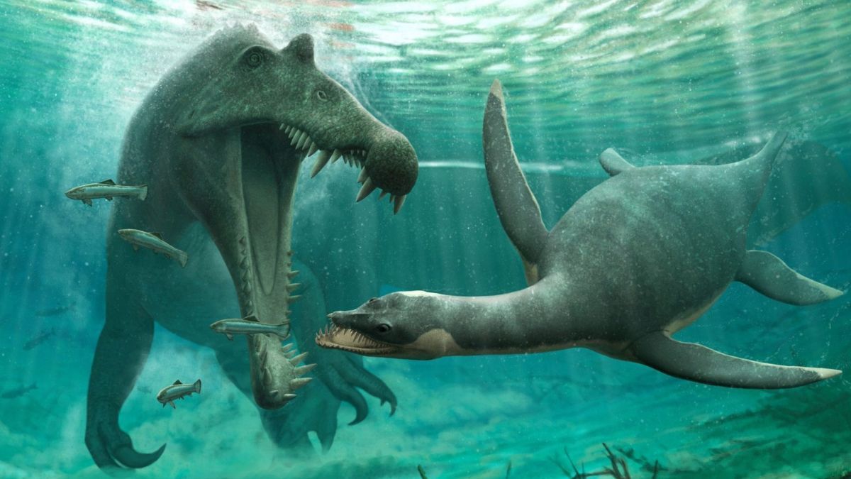 El océano guarda muchísimos misterios. 