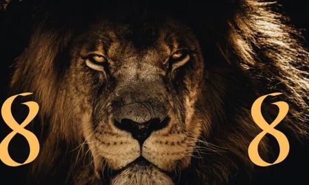 Cómo atravesar el Portal del León este 8 de agosto. Cómo atravesar el Portal del León este 8 de agosto.