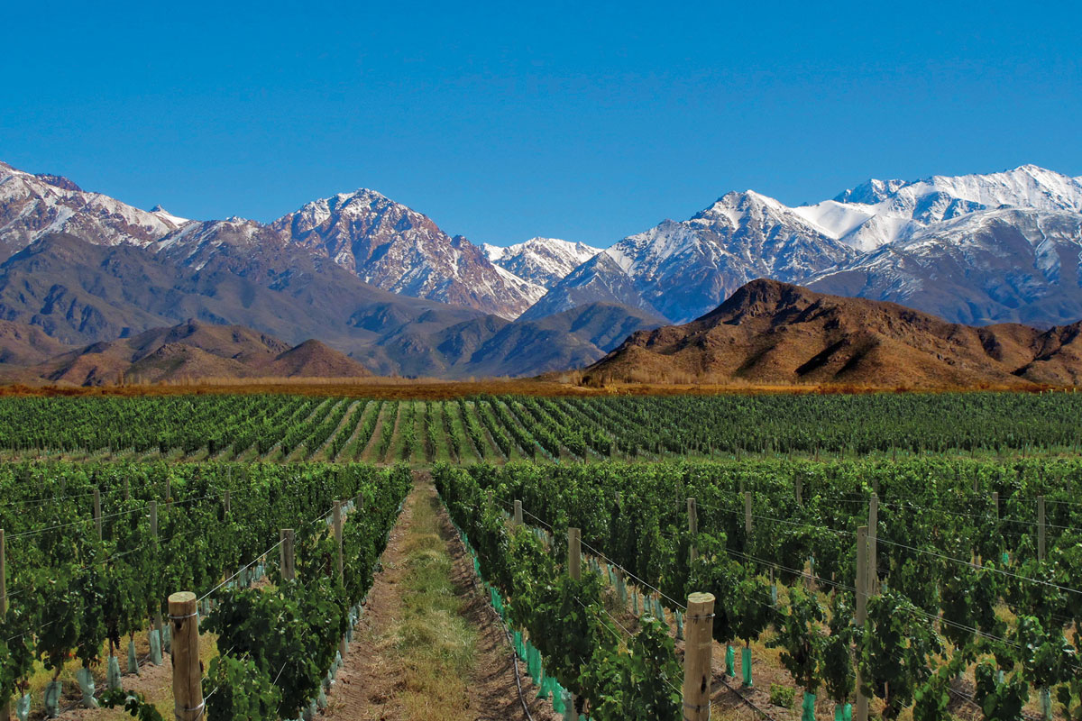 Mendoza es una de las provincias más reconocidas por su mayor producción de vinos. Mendoza es una de las provincias más reconocidas por su mayor producción de vinos.