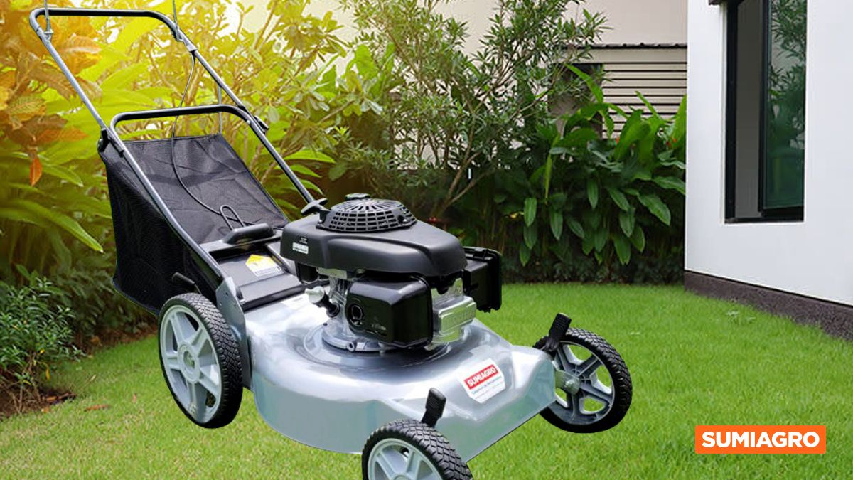 Las tres opciones recomendadas en cortadoras de césped para tu hogar