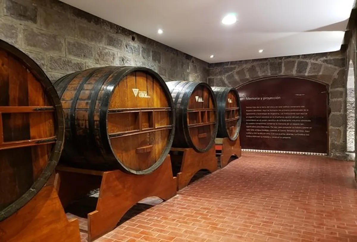 Circuito por bodegas mendocinas