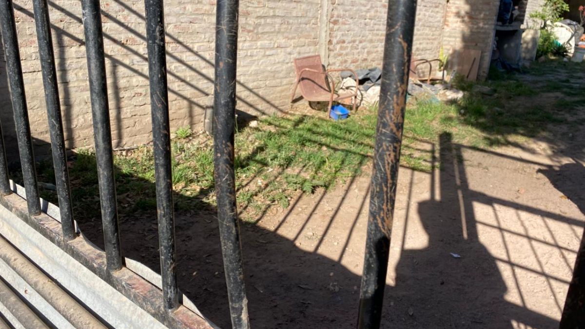 Los barrotes doblados de una reja por la que pasó el puma. Los barrotes doblados de una reja por la que pasó el puma.