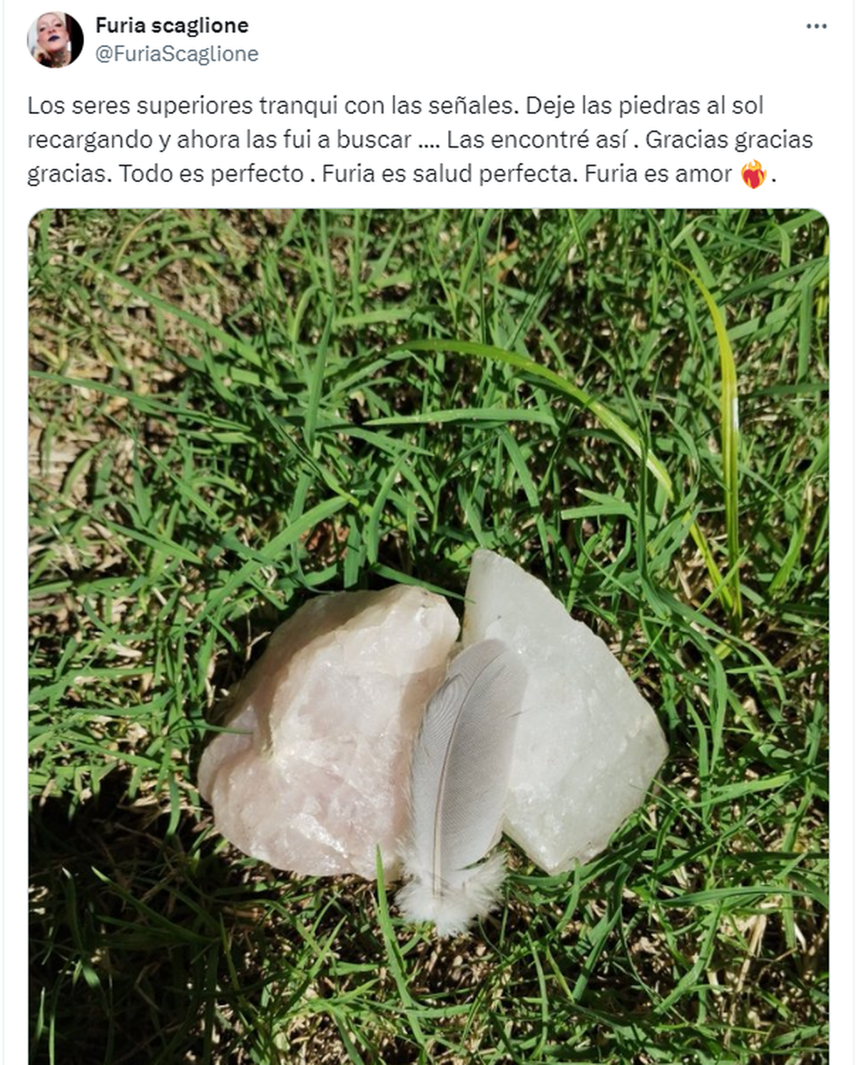 Coy compartió esta imagen y su mensaje de apoyo a Furia en X (Twitter). Coy compartió esta imagen y su mensaje de apoyo a Furia en X (Twitter).