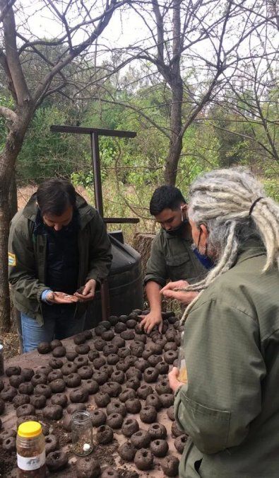 Pueden ser arrojadas al voleo o desde altura.